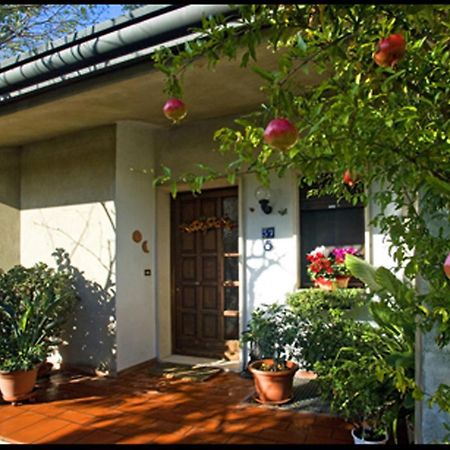 B&B Oasi Di Venezia Zewnętrze zdjęcie