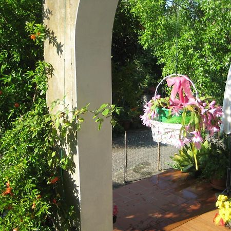 B&B Oasi Di Venezia Zewnętrze zdjęcie