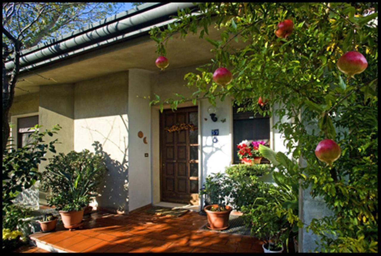 B&B Oasi Di Venezia Zewnętrze zdjęcie